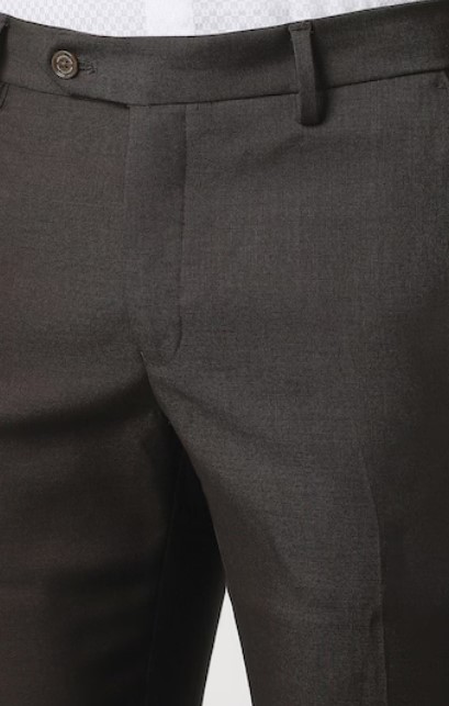 Screenshot 2026-07-23 133449 Men Brown Textured Trousers - Image 2
